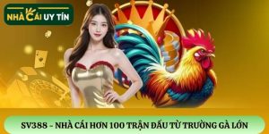 SV388 – Nhà cái đá gà chất lượng với hơn 100 trận đấu từ trường gà lớn