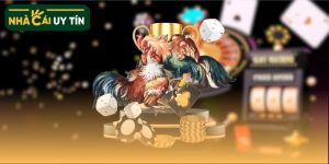 GA6789 – Trang đá gà uy tín với hơn 1000 trận đấu từ trường gà lớn